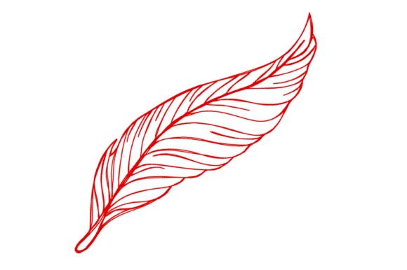Review: Feather Continuous Line for Boutique Apparel